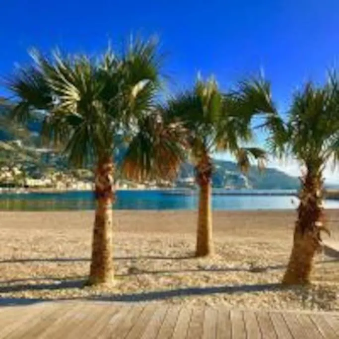 Le Palmero Centre Ville, Plage, Clime Menton